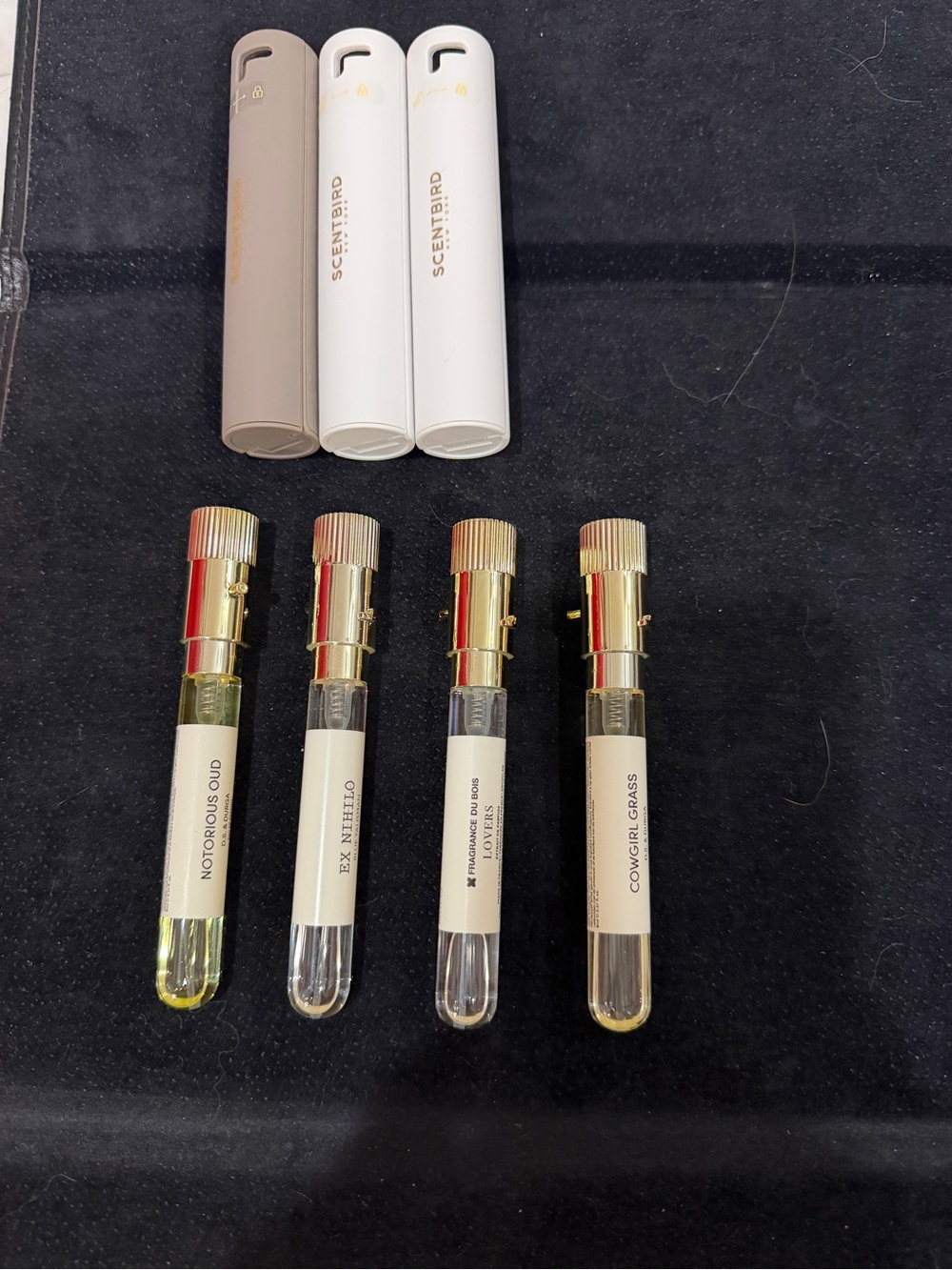 SCENTBIRD collection